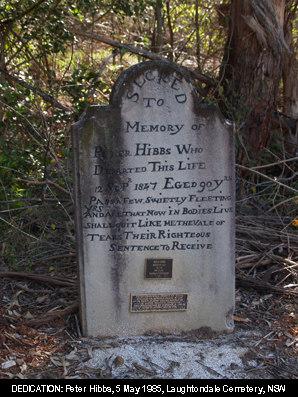 09hibbs.jpg